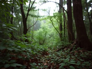 Obraz premium Lush green forest background with dense foliage and trees, natural, leaves