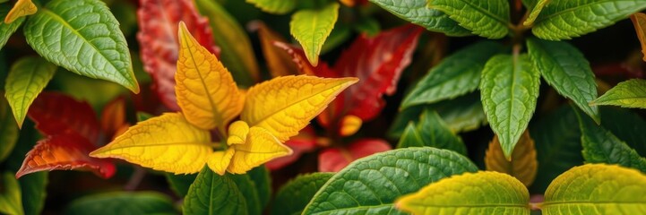 A close-up image of a textured and vibrant bitter green background, design, green