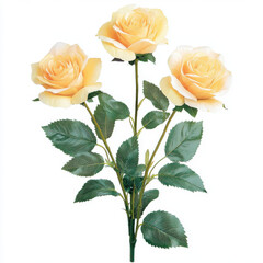 Fototapeta premium Three yellow roses in full bloom, each with long green leaves, create vibrant and cheerful display, perfect for brightening any space