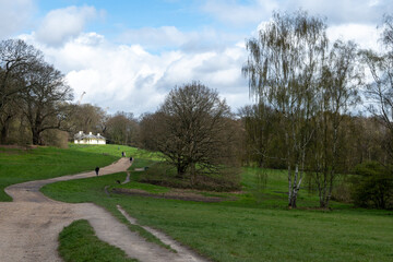 Obraz premium Walking on Parliament hill and urban park Hampstead Heath with old oak frees, hills and view points, North London, UK