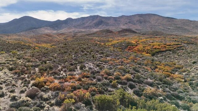 Cold Creek Autumn in the Mountains Desert Colors