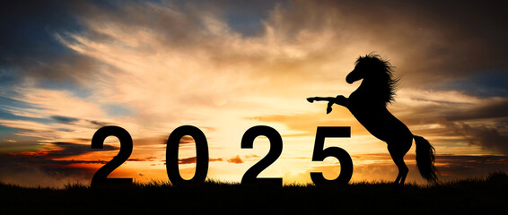 Silhouette of a magnificent stallion rearing up to greet the arrival of the new year 2025 © ginettigino