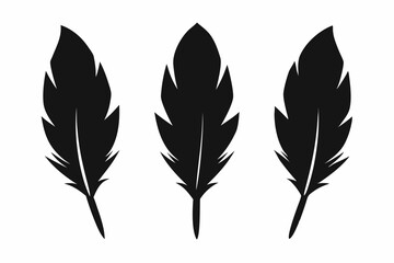 Obraz premium Bird feather silhouette vector set, bird feather icon, vector illustration isolated on white background