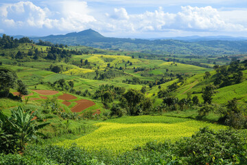 Obraz premium Verdant Hills and Fields in Rural Countryside