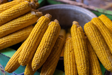 Delicious Boiled Corn Cobs Ready to Eat at the Market