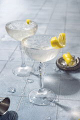 Two glasses of clear vodka-based cocktails with ice, garnished with lemon zest. A festive and refreshing drink perfect for celebrations. elegant holiday atmosphere.