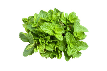 Obraz premium Vibrant Green Mint Leaves Bunch on White Background