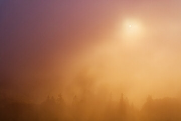Fototapeta premium coucher de soleil dans la brume