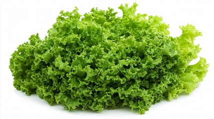 Obraz premium Lettuce styled in a simple, clean setting with subtle lighting on an isolated white background