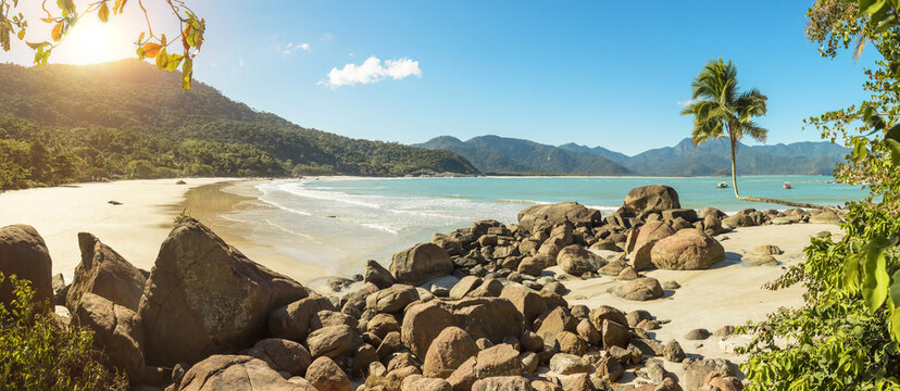 Panoramic view of Adventurer's Beach with majestic palm tree adorned with turquoise waters, vibrant sunlight at sunset, feeling of relaxation, beauty coast of Brazil, Angra do Reis in Ilha Grande