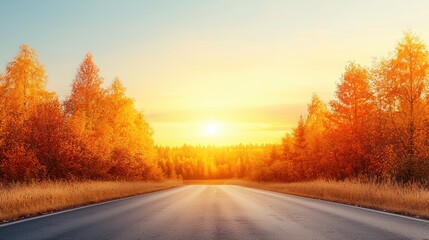 Fototapeta premium Scenic Autumn Road at Sunset Fall Foliage Asphalt Highway Golden Hour