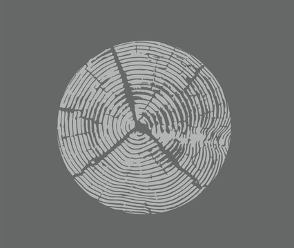 recommend clip art: Gray and white leaf print stamp of botanical illustration. Plain leaf sketched art background.
                    