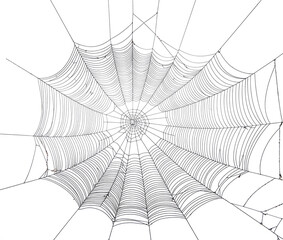 Obraz premium spider web net isolated on white background