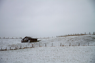 hut in landscape with snow