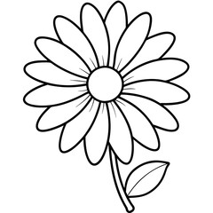 daisy flower line art vector, flower outline vector