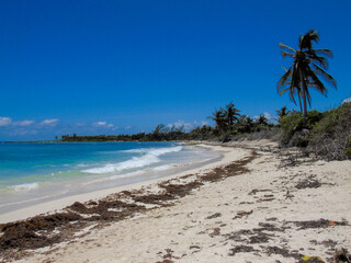 Playa del caribe