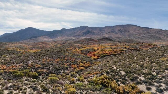 Cold Creek Aerial Footage