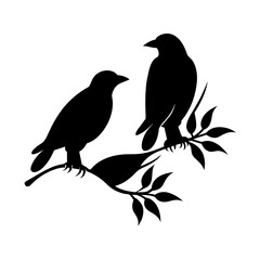 Fototapeta premium bird on a branch