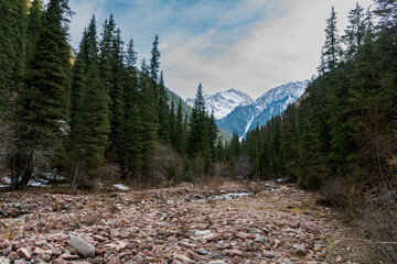 Majestic mountain valley with snow-capped peaks, dense evergreen forest, and a rocky riverbed under a cloudy sky. A serene natural landscape showcasing wilderness and tranquility.

