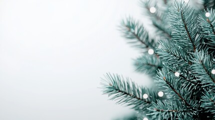 Obraz premium Festive Christmas Tree Branches Winter Holiday Background