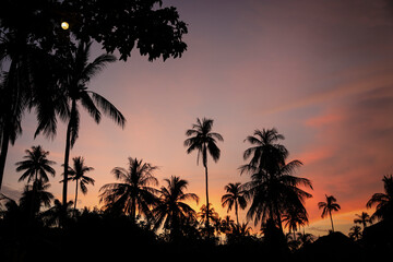 Obraz premium Beautiful sunset on Negros beach, Philippines