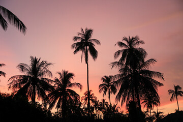Fototapeta premium Beautiful sunset on Negros beach, Philippines