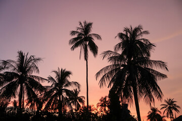 Obraz premium Beautiful sunset on Negros beach, Philippines