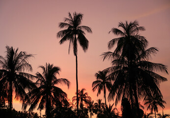 Obraz premium Beautiful sunset on Negros beach, Philippines