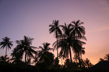 Obraz premium Beautiful sunset on Negros beach, Philippines