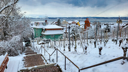 Naklejka premium View of winter morning Meersburg in Germany and Obertor. In the foreground - vineyards covered with white fluffy snow, green house and steps down. On the back - lake Constance and Switzerland.