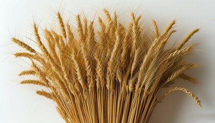 Fototapeta premium haystack, yellow wheat stack with spikelets on a white background