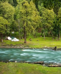 lake in the forest giving enchanting view