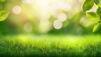 Obraz premium spring background abstract banner green blurred bokeh lights panorama header