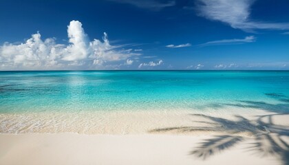 Fototapeta premium art untouched tropical beach background