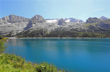 Fototapety na wymiar - Fototapeta24.pl