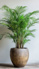 Obraz premium Indoor Palm Plant in Brown Pot - Lush Green Foliage