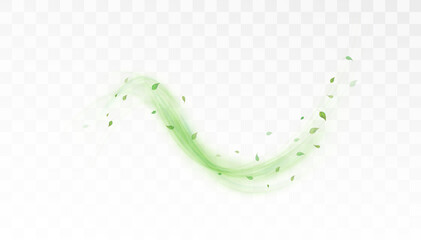 Green bright lines swirl with flying tea and mint leaves on white background. Design for cooling drinks. Vector © MAKSYM
