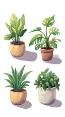 Fototapeta premium Collection of Houseplants in Pots - Botanical Illustration