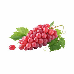 Fototapeta premium Fresh red grapes with vivid green leaf on white
