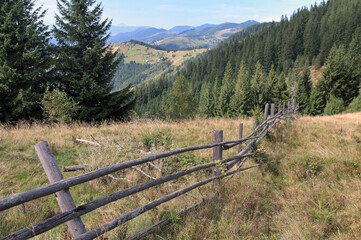 Fototapeta premium Wooden fence in the mountains that separates the pasture from the forest.