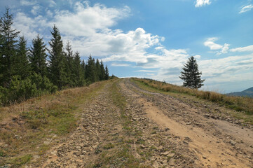 Fototapeta premium Road to sky. Dirt road to the top of the mountain in the Ukrainian Carpathians.