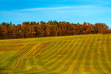 road rising to the hill, autumn colors