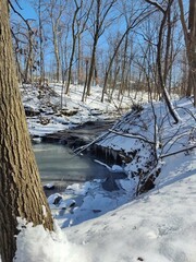 river in winter forest