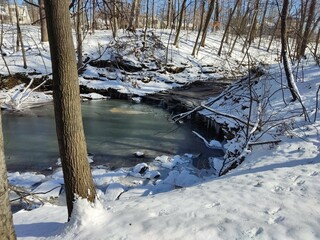 river in winter forest