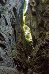 Alpine Gorge with Scenic Hiking Trail Along the Mountain Slope Showcasing Pristine Stream and Lush Valley. Serene Wilderness Landscape Captures Eco-Friendly Living and Environmental Harmony in the