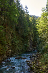 Pristine Alpine Stream Flows Through Lush Mountain Valley with Eco-Friendly Rural Landscape. Serene Wilderness Scene Captures Environmental Harmony in Picturesque Countryside Setting.