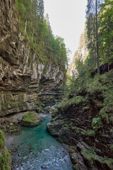 Alpine Gorge with Scenic Hiking Trail Along the Mountain Slope Showcasing Pristine Stream and Lush Valley. Serene Wilderness Landscape Captures Eco-Friendly Living and Environmental Harmony in the