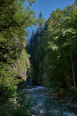 Pristine Alpine Stream Flows Through Lush Mountain Valley with Eco-Friendly Rural Landscape. Serene Wilderness Scene Captures Environmental Harmony in Picturesque Countryside Setting.