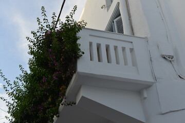 Balcone con siepe - Architettura