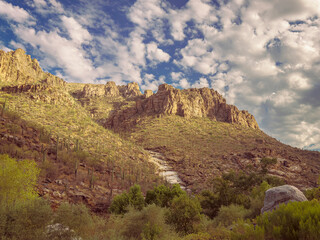 Scenic desert landscape featuring rugged mountain peaks surrounded by Saguaro cactus and vegetation under a bright blue sky with fluffy clouds.